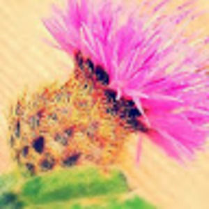 Meet your Posher, Kirsten